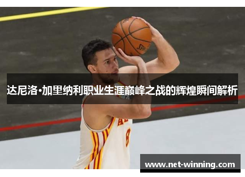 达尼洛·加里纳利职业生涯巅峰之战的辉煌瞬间解析