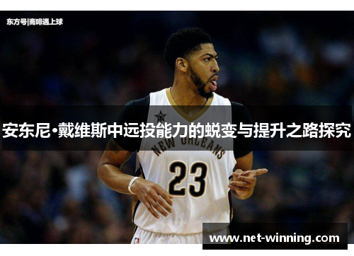 安东尼·戴维斯中远投能力的蜕变与提升之路探究