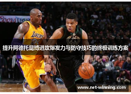 提升阿德托昆博进攻爆发力与防守技巧的终极训练方案