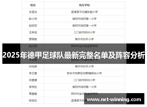 2025年德甲足球队最新完整名单及阵容分析