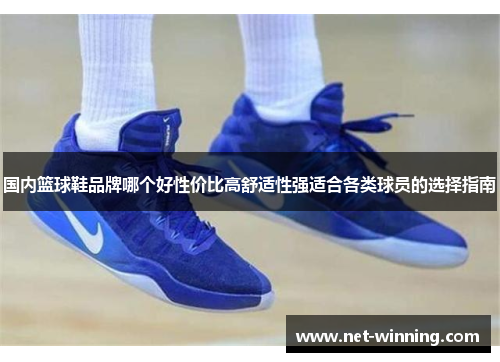 国内篮球鞋品牌哪个好性价比高舒适性强适合各类球员的选择指南 国内篮球鞋品牌哪个好性价比高舒适性强适合各类球员的选择指南