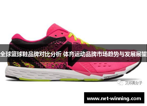 全球篮球鞋品牌对比分析 体育运动品牌市场趋势与发展展望