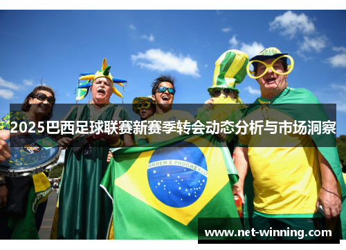 2025巴西足球联赛新赛季转会动态分析与市场洞察