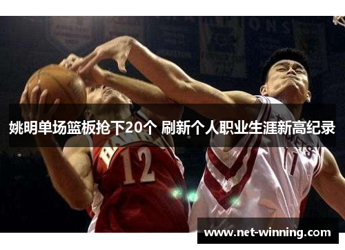 姚明单场篮板抢下20个 刷新个人职业生涯新高纪录