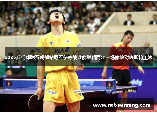 2023乒乓球联赛成都站冠军争夺战谁能脱颖而出一场巅峰对决即将上演