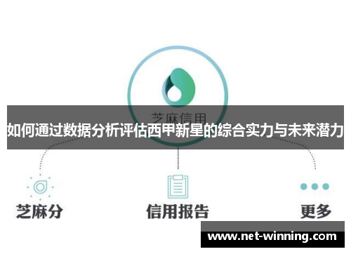 如何通过数据分析评估西甲新星的综合实力与未来潜力