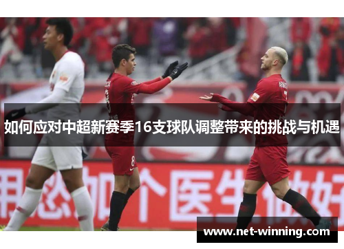 如何应对中超新赛季16支球队调整带来的挑战与机遇