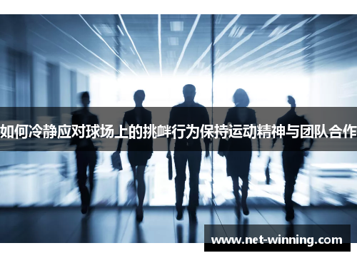 如何冷静应对球场上的挑衅行为保持运动精神与团队合作