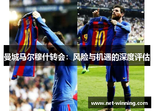 曼城马尔穆什转会：风险与机遇的深度评估