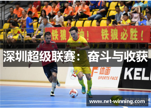 深圳超级联赛：奋斗与收获