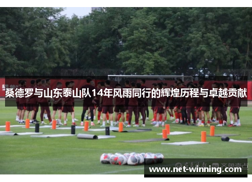 桑德罗与山东泰山队14年风雨同行的辉煌历程与卓越贡献