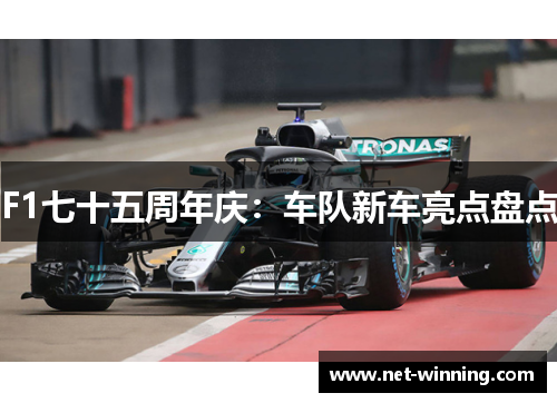 F1七十五周年庆:车队新车亮点盘点 F1七十五周年庆:车队新车亮点盘点