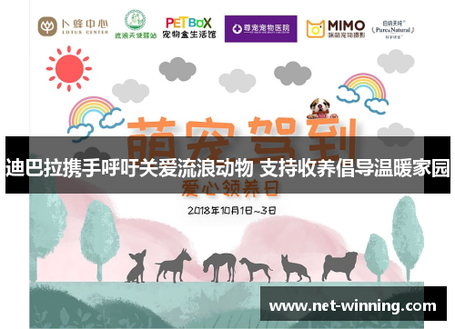 迪巴拉携手呼吁关爱流浪动物 支持收养倡导温暖家园 迪巴拉携手呼吁关爱流浪动物 支持收养倡导温暖家园