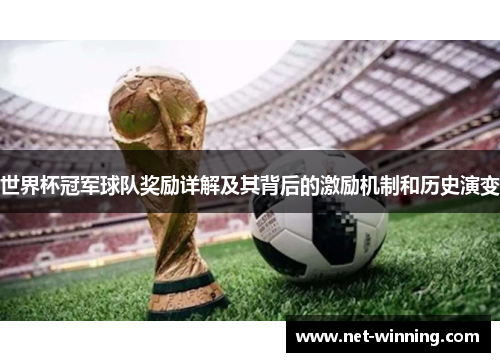 世界杯冠军球队奖励详解及其背后的激励机制和历史演变