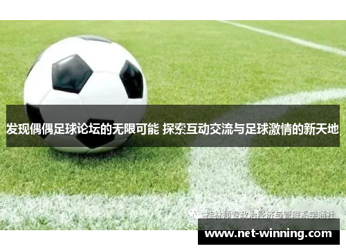 发现偶偶足球论坛的无限可能 探索互动交流与足球激情的新天地