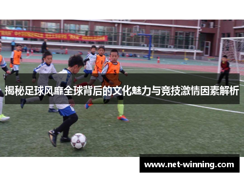 揭秘足球风靡全球背后的文化魅力与竞技激情因素解析