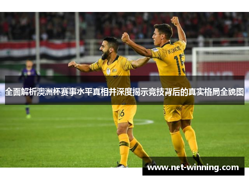 全面解析澳洲杯赛事水平真相并深度揭示竞技背后的真实格局全貌图