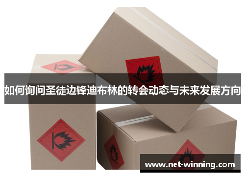 如何询问圣徒边锋迪布林的转会动态与未来发展方向 如何询问圣徒边锋迪布林的转会动态与未来发展方向